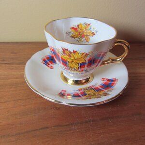 royal canadian tartan 4.5 oz cup & saucer EUC windsor (W3534)